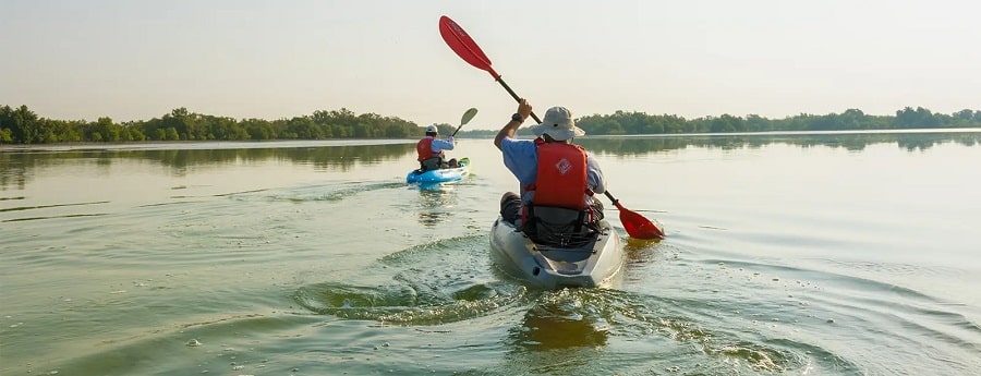 Kayak Tour in the Eastern Mangrove National Park offer